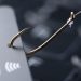 Global broker Octa offers some tips to spot and avoid scams and fraud as a trader