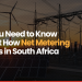 All You Need to Know About How Net Metering Works in South Africa