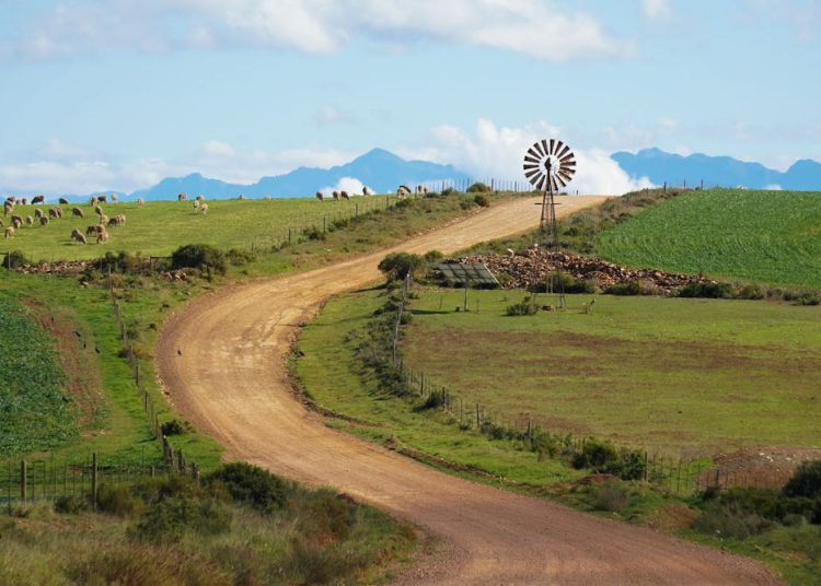 Will El Niño drought hit food prices in South Africa? Earlier rains and grain stocks offer hope